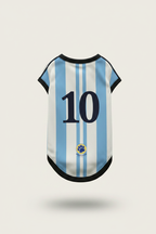Argentina Jersey Back