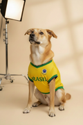 Brasil Jersey Dog Shorter Neck