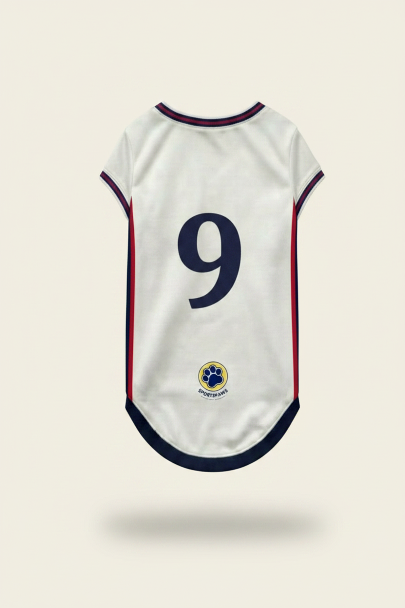 England Jersey Back