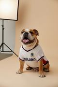English Bulldog - England Jersey 3/4 Angle