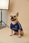 Female French Bulldog - France Jersey