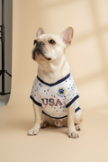 French Bulldog USA Jersey Studio Screen