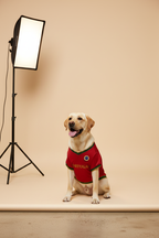 Labrador - Portugal Jersey
