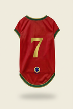 Portugal Jersey Back